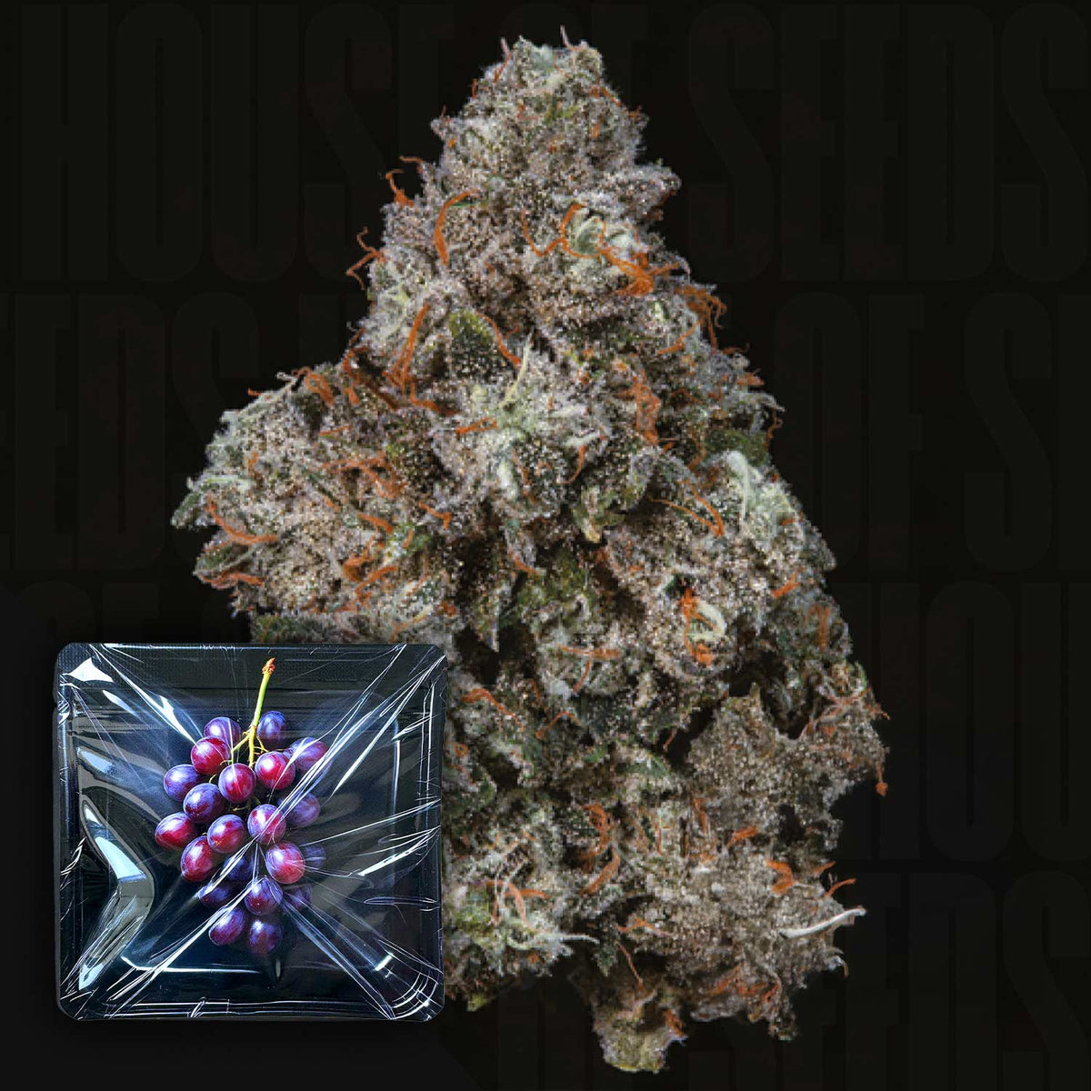 Nine Weeks Harvest - Pruno