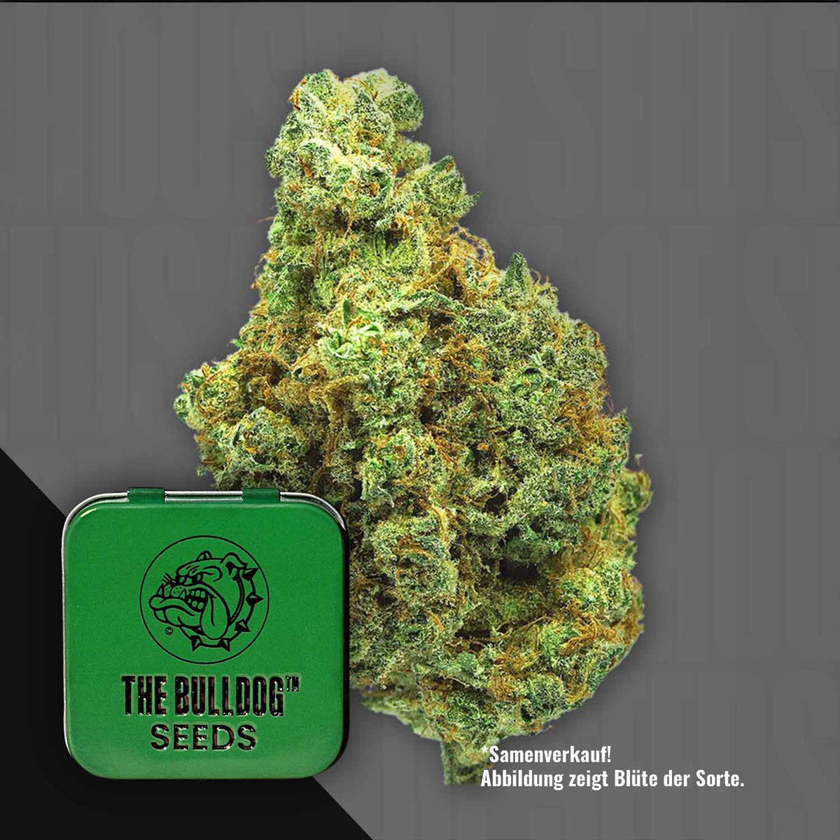 The Bulldog Seeds - TB Wedding Cake