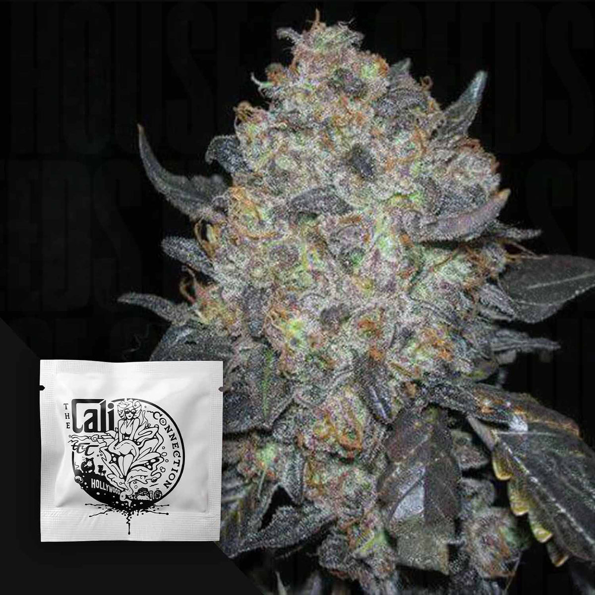 Cali Connection - Blackwater