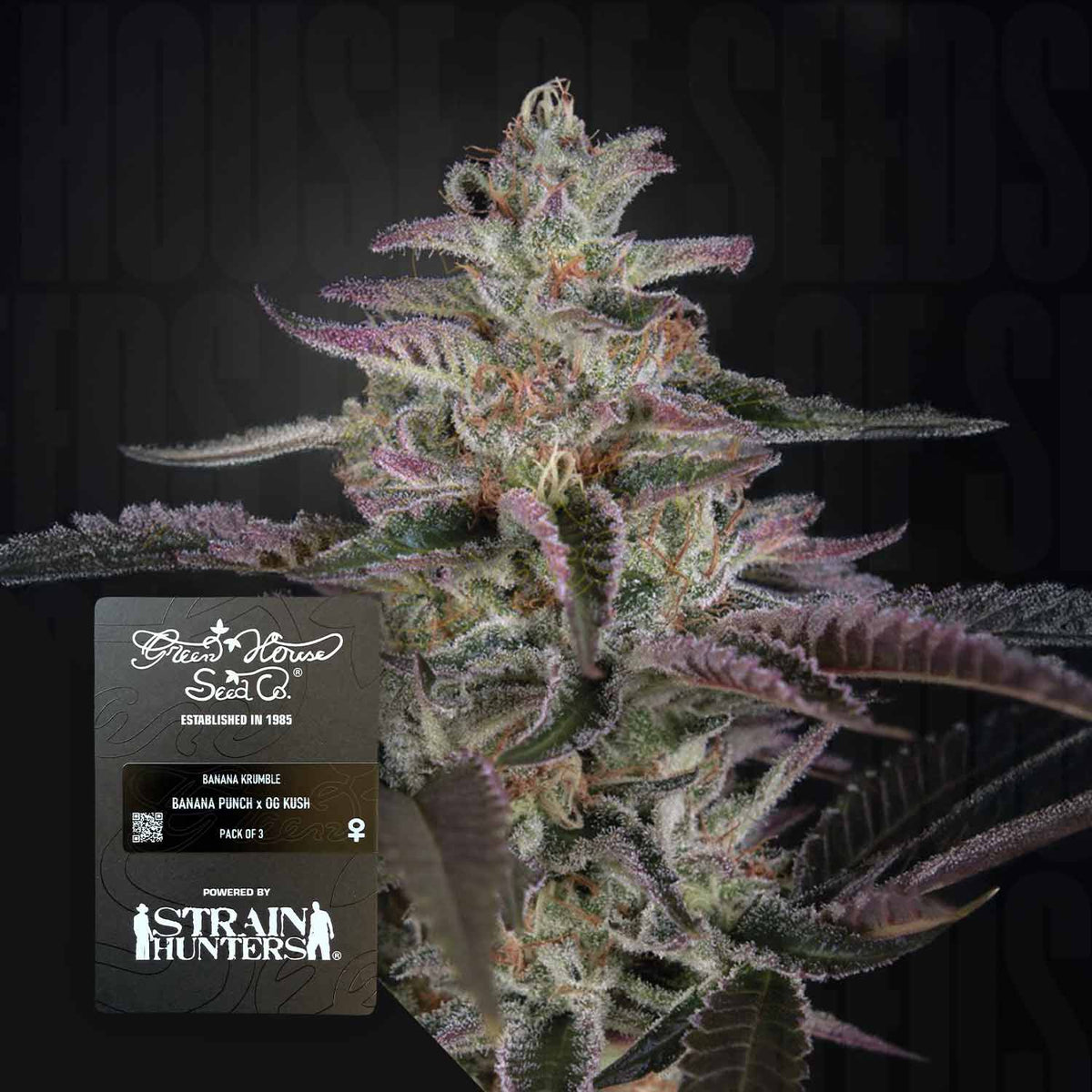 Green House Seeds - Banana Krumble