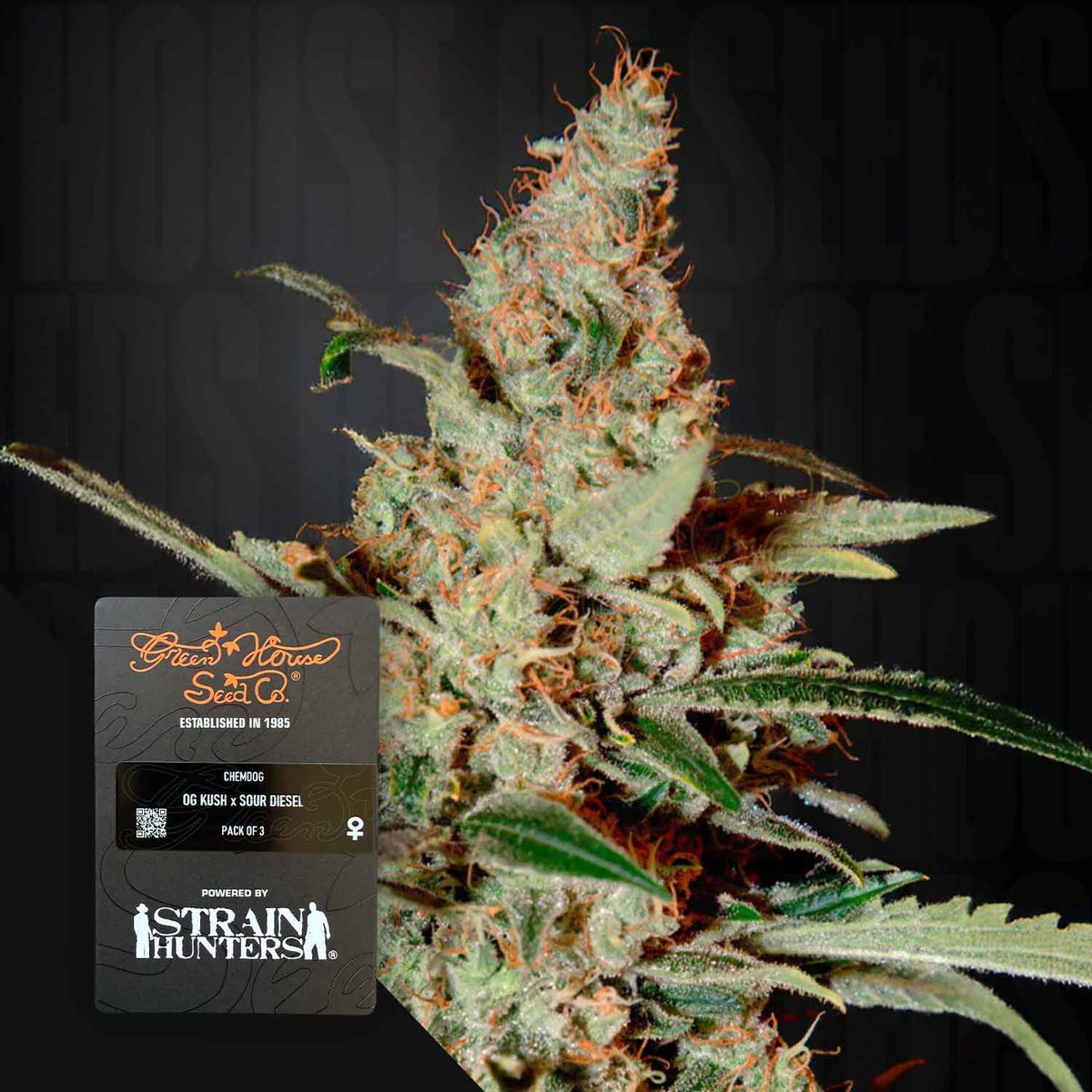 Green House Seeds - Chemdog