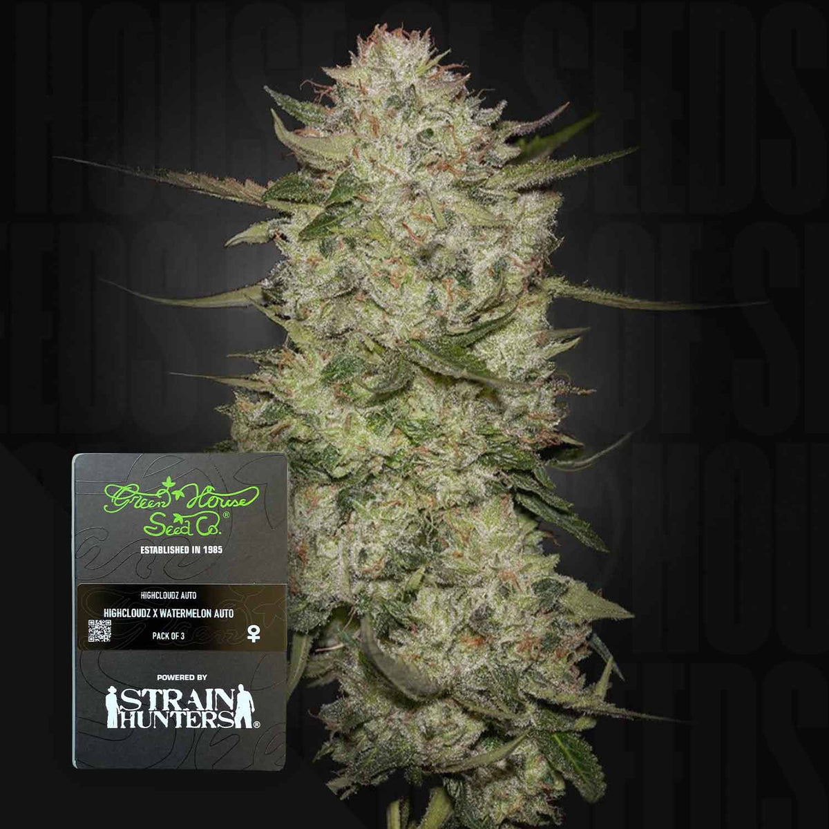 Green House Seeds - HighCloudZ Auto
