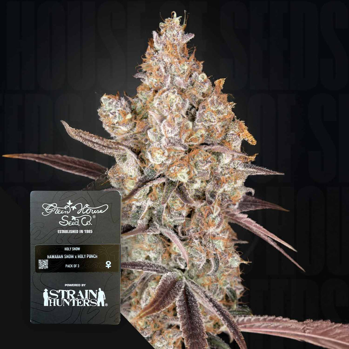 Green House Seeds - Holy Snow