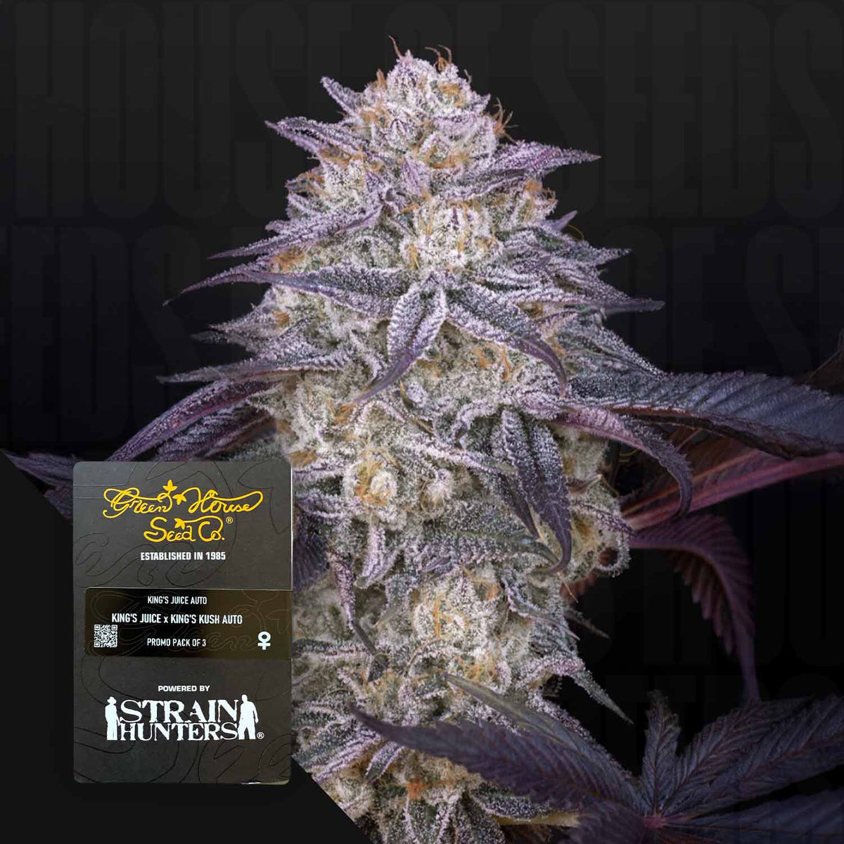 Green House Seeds - King's Juice