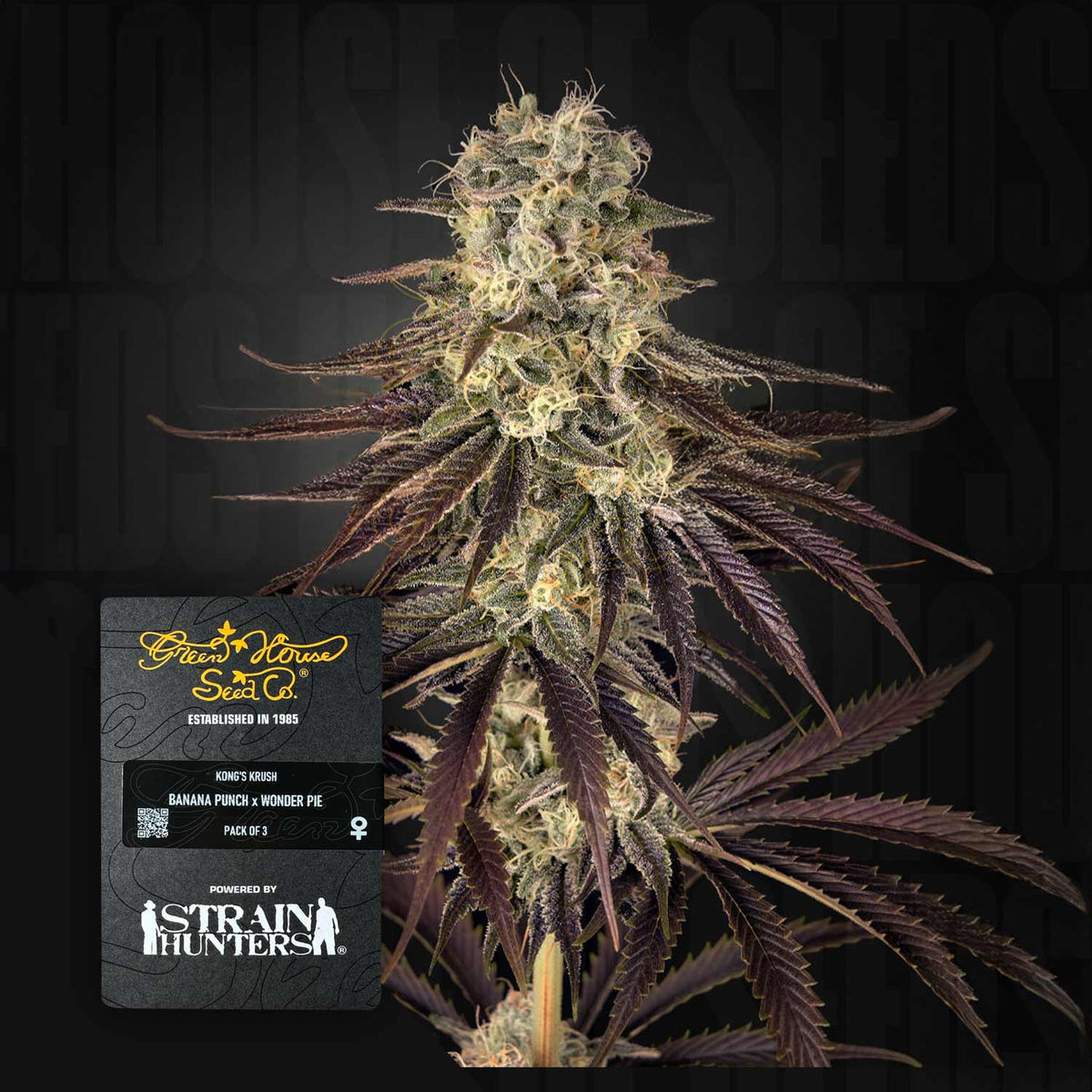 Green House Seeds - Kong's Krush