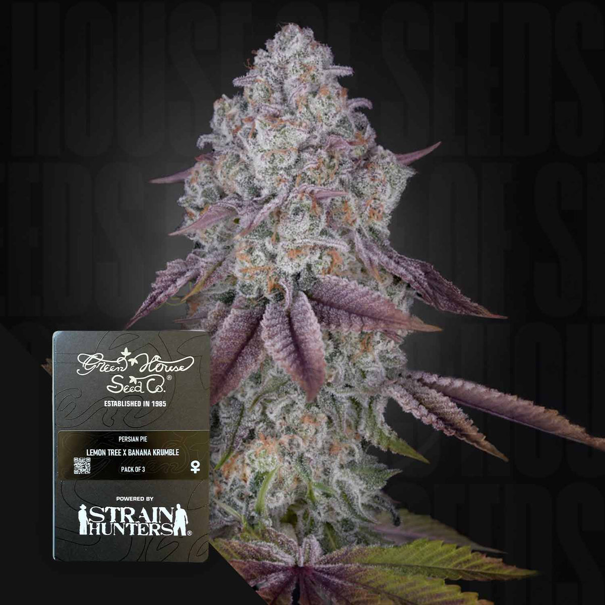 Green House Seeds - Persian Pie