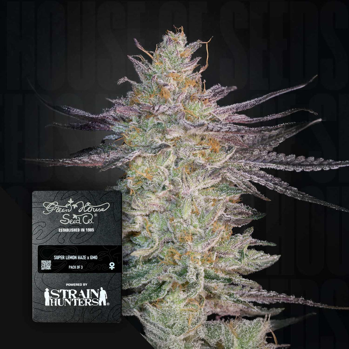 Green House Seeds - Super Lemon Haze x GMO