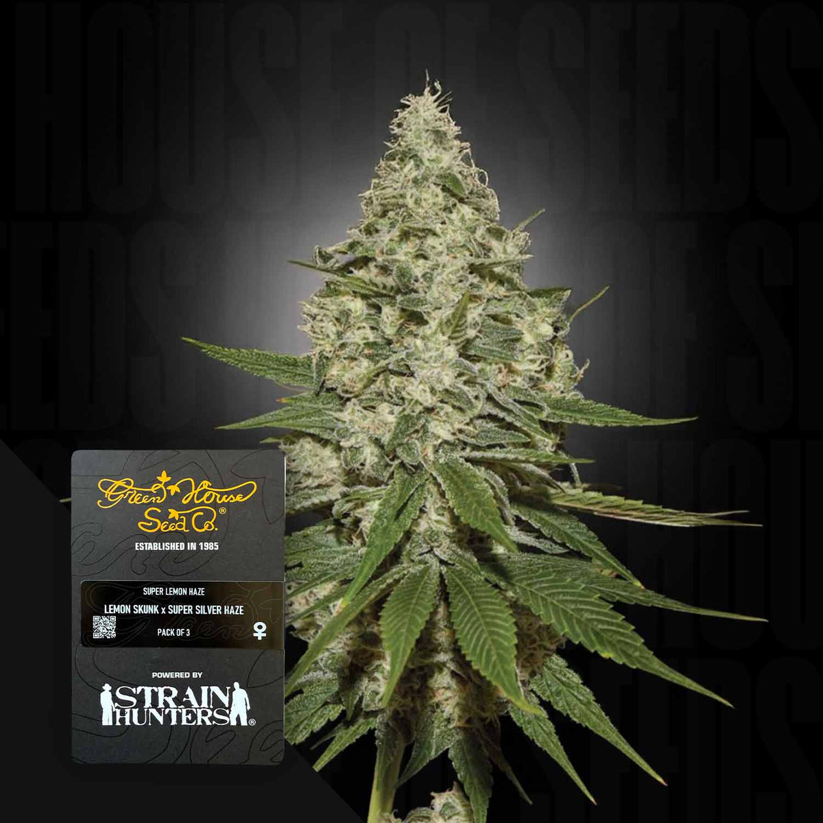 Green House Seeds - Super Lemon Haze