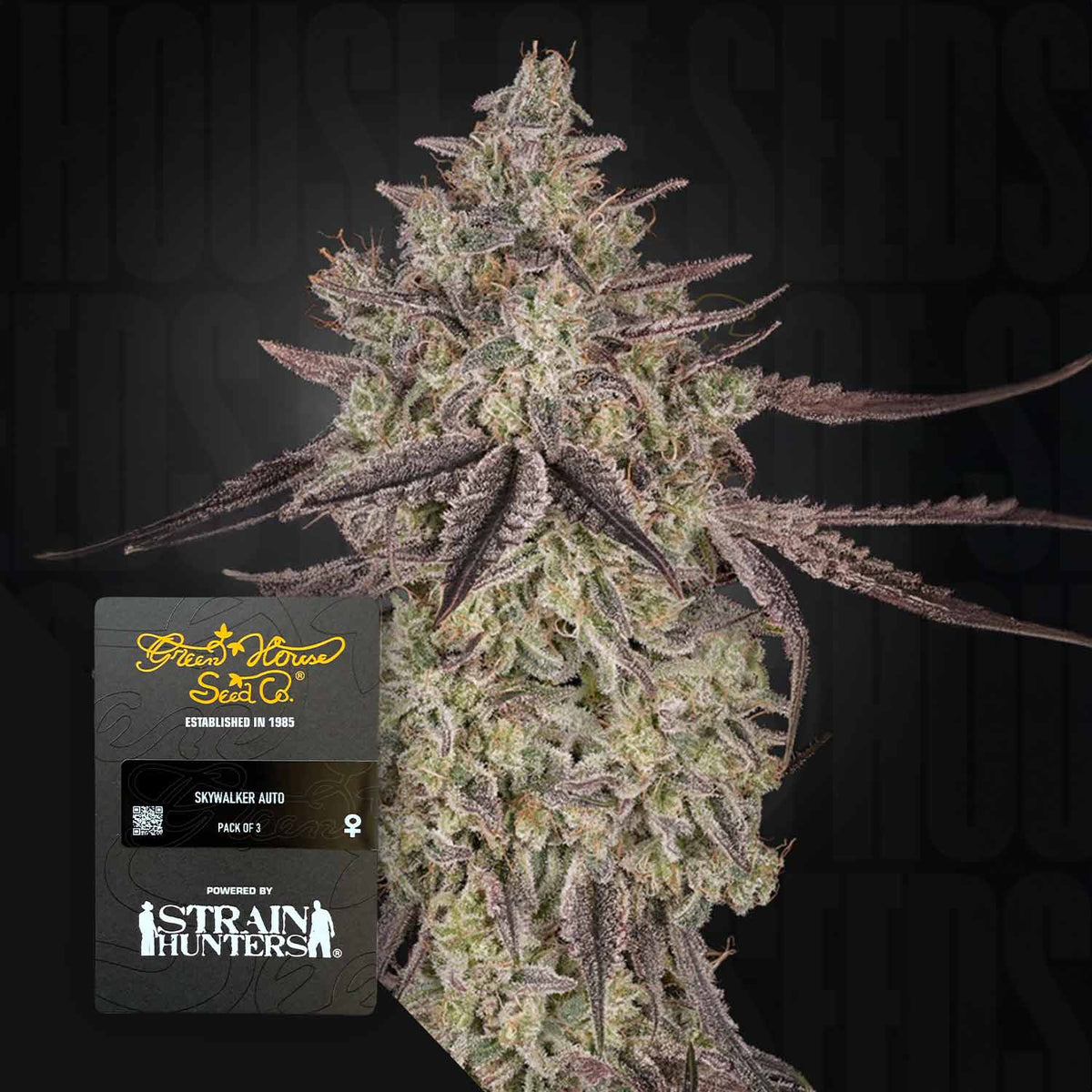 Green House Seeds - Sky Walker Auto