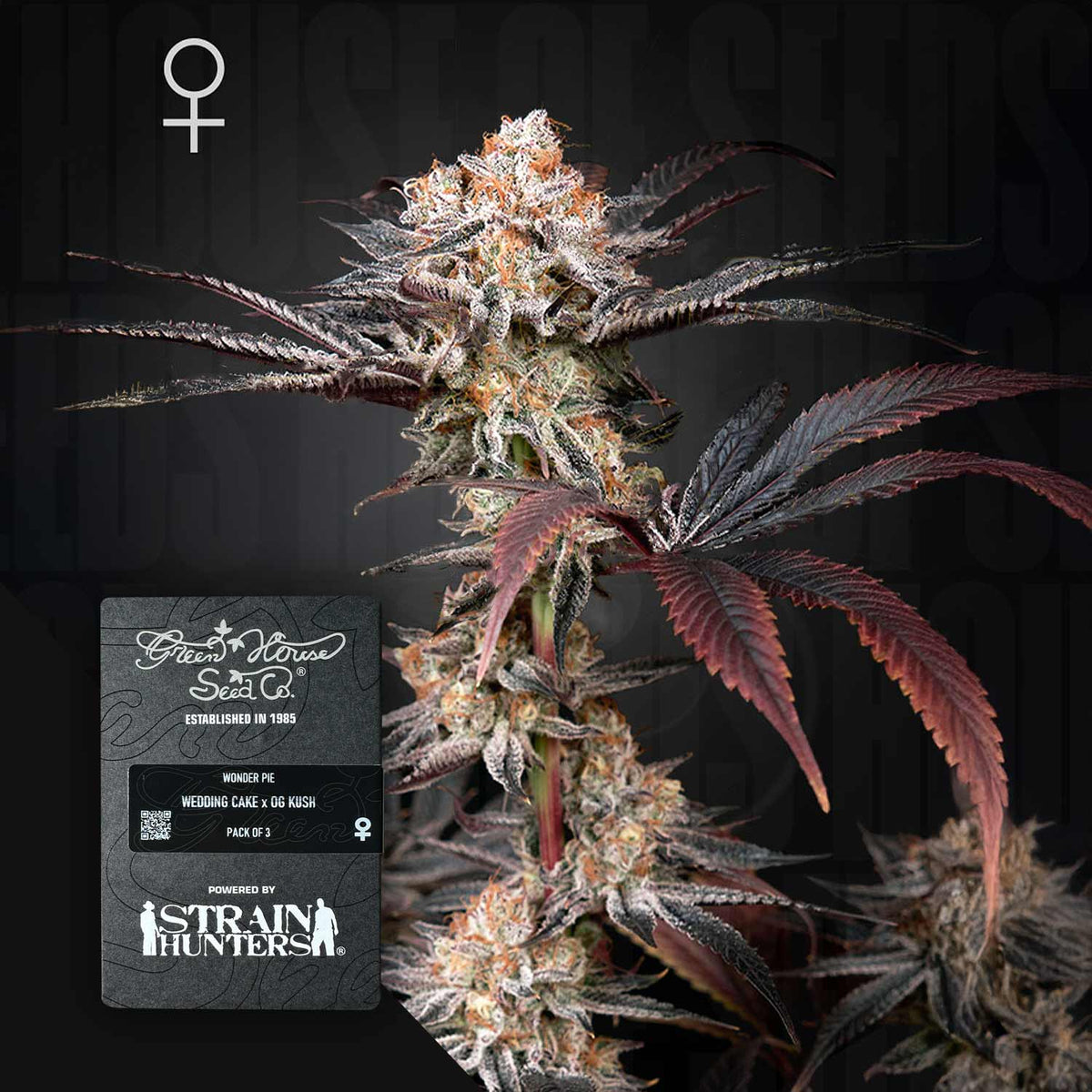 Green House Seeds - Wonder Pie
