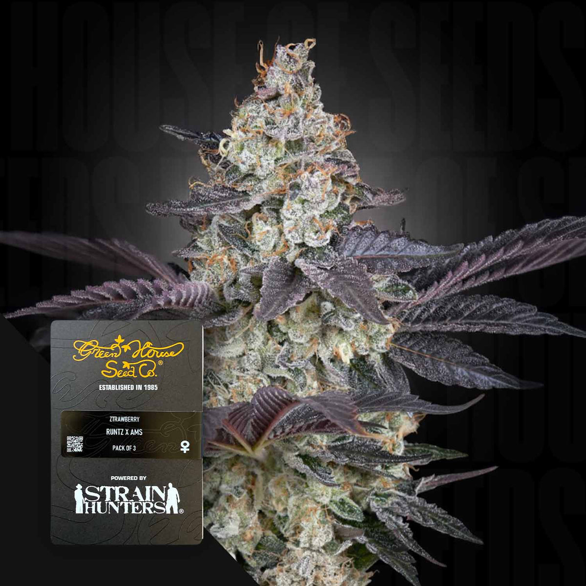 Green House Seeds - Ztrawberry