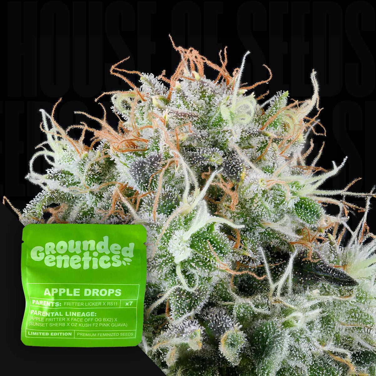 Grounded Genetics - Apple Drops