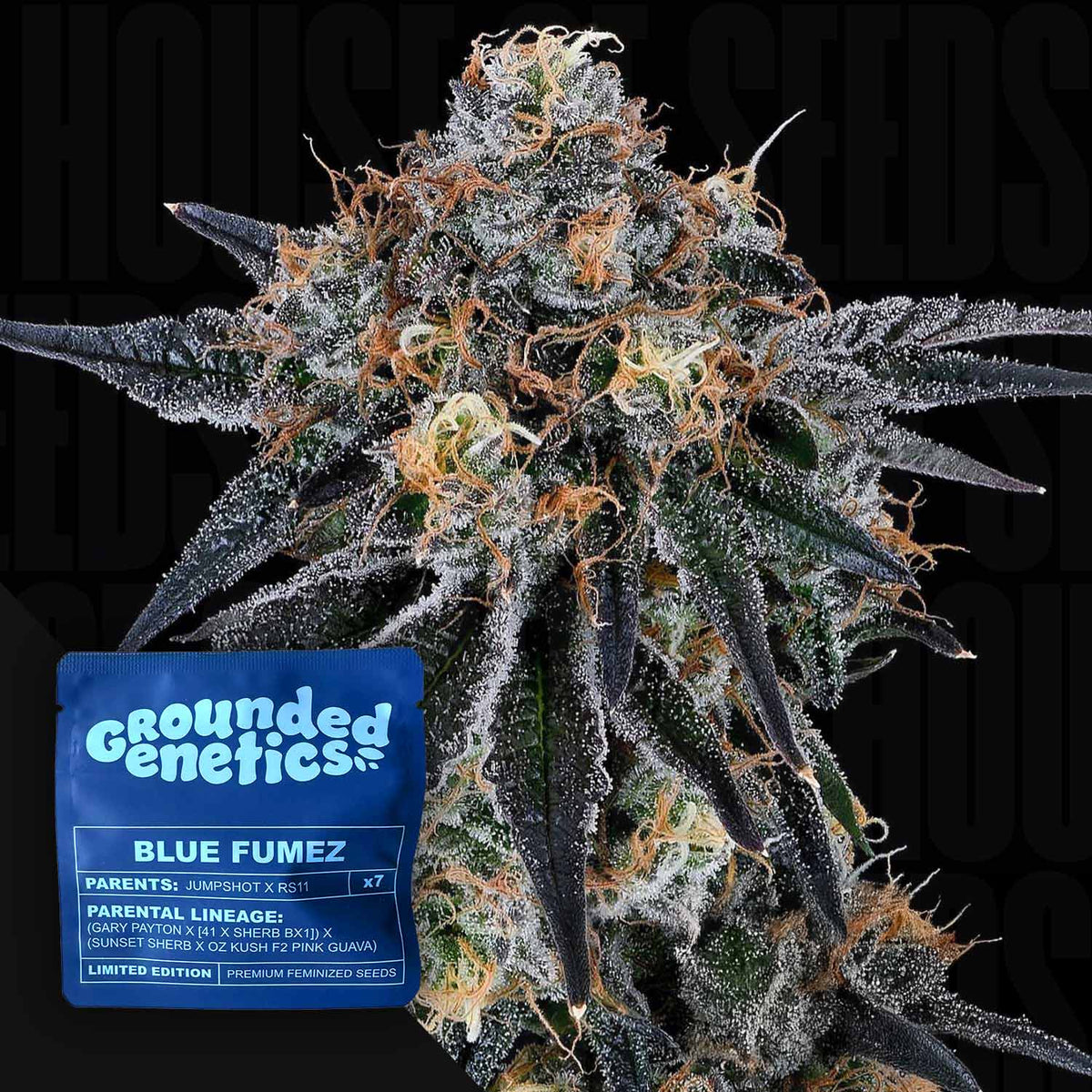 Grounded Genetics - Blue Fumez