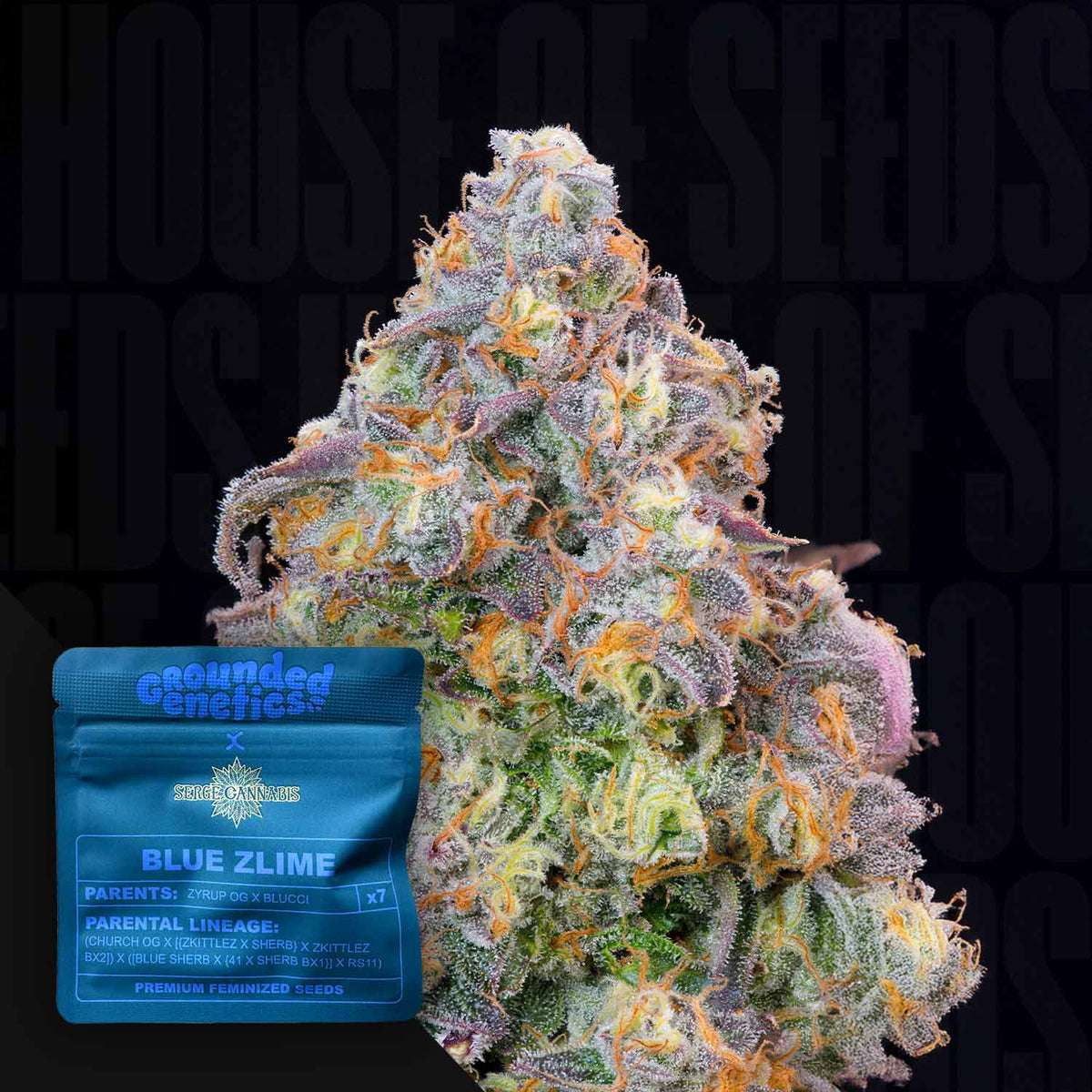 Grounded Genetics - Blue Zlime