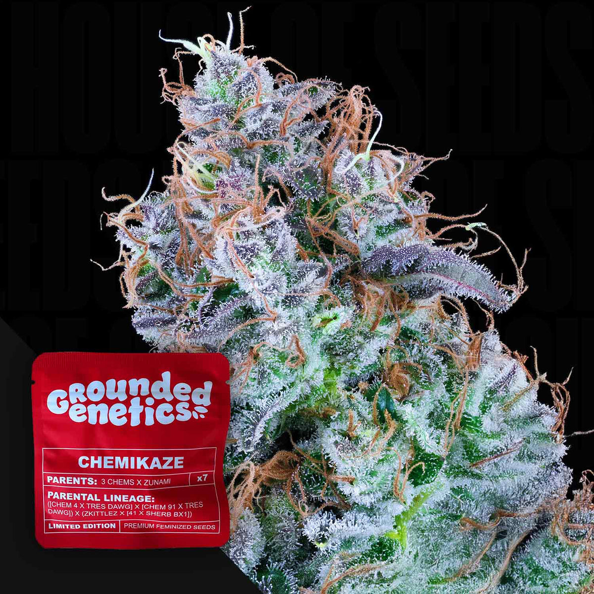 Grounded Genetics - Chemikaze