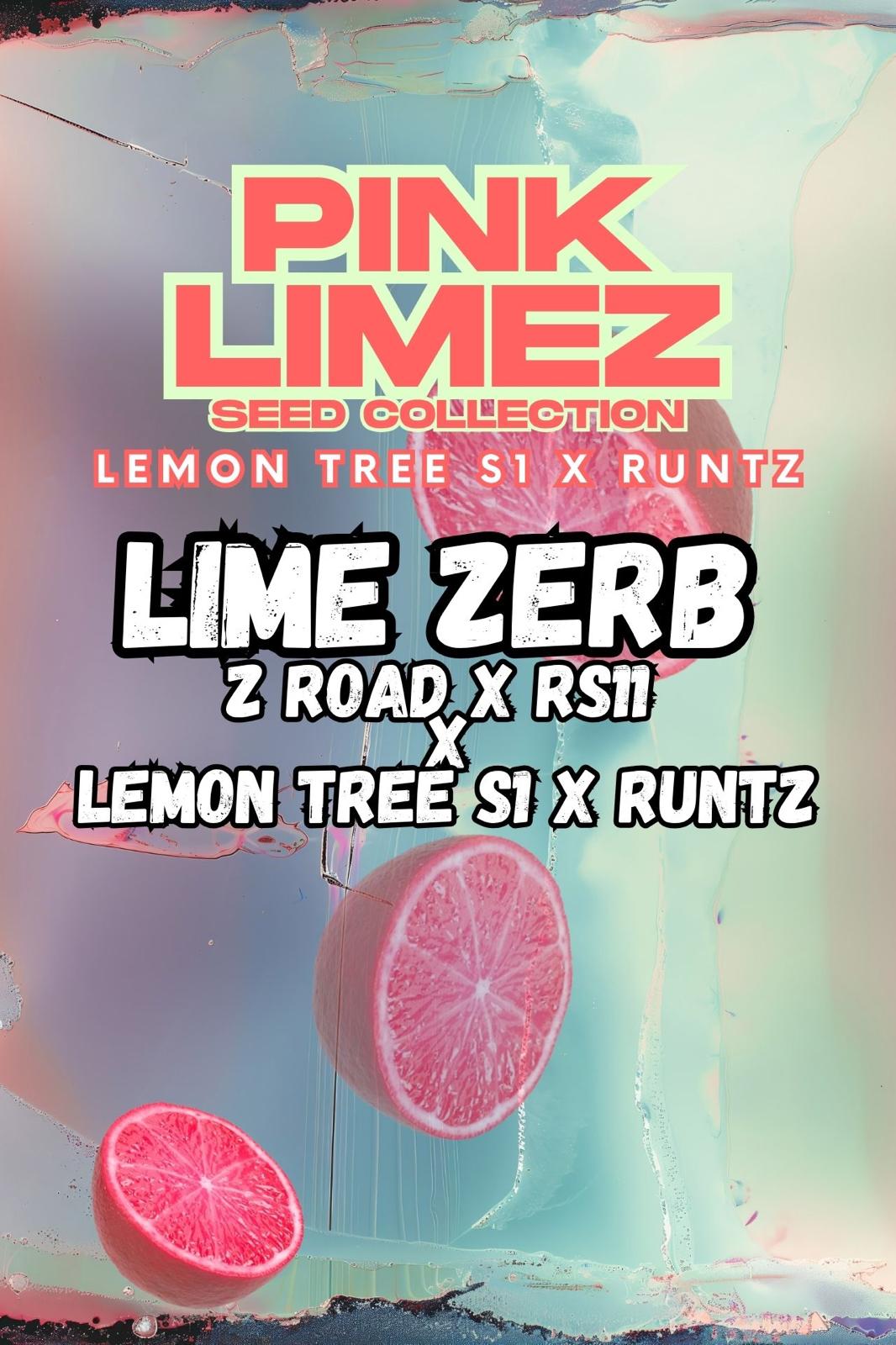 Grounded Genetics - Lime Zerb