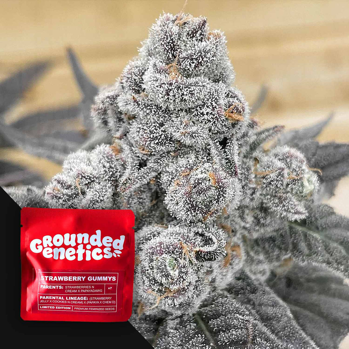 Grounded Genetics - Strawberry Gummies