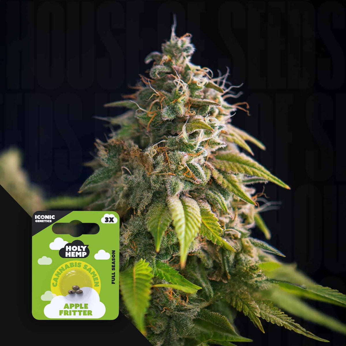 Holy Hemp - Apple Fritter