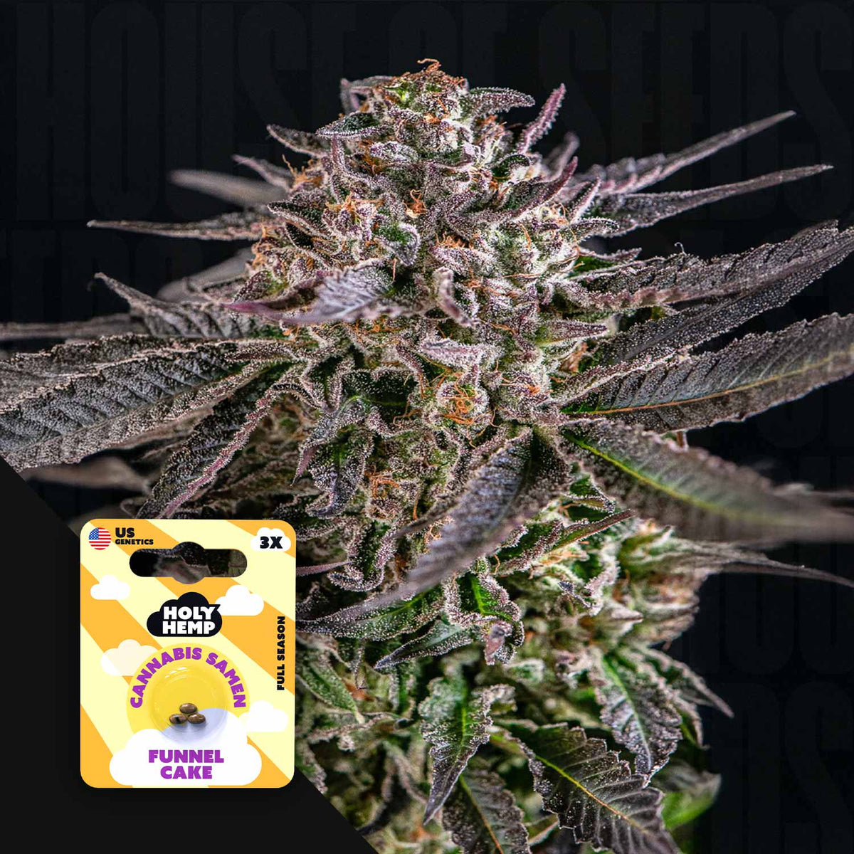 Holy Hemp - Funnel Cake