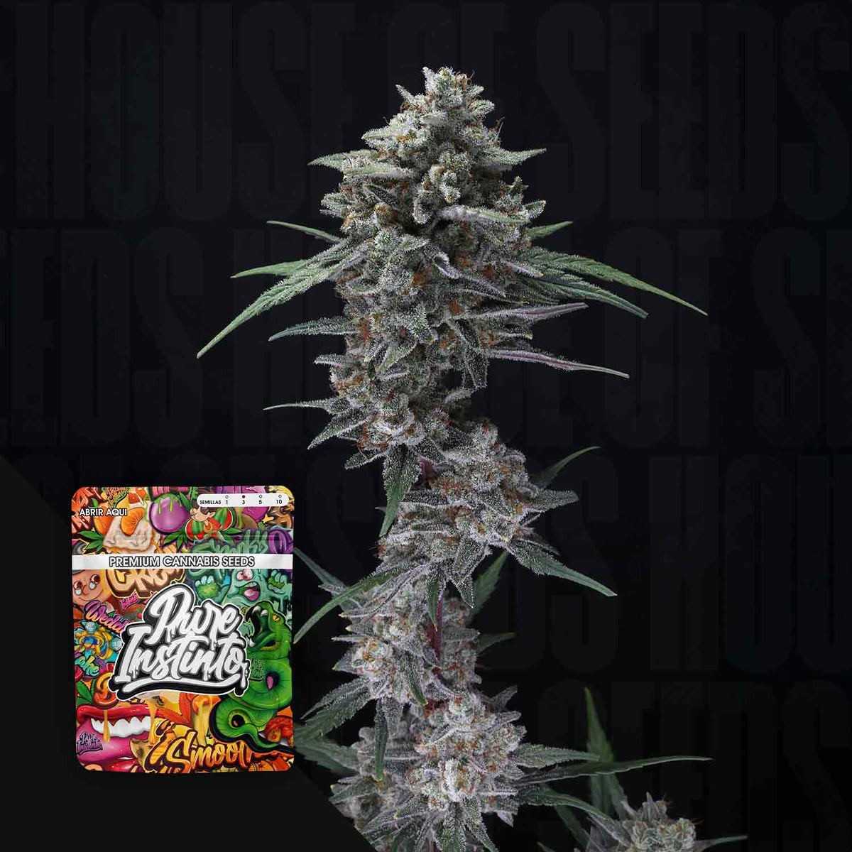 Pure Instinto - Alien Snack Auto