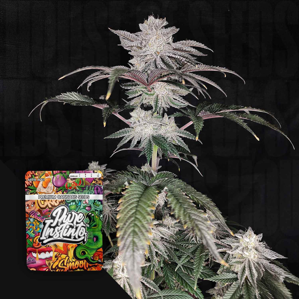 Pure Instinto - Cherry Melt