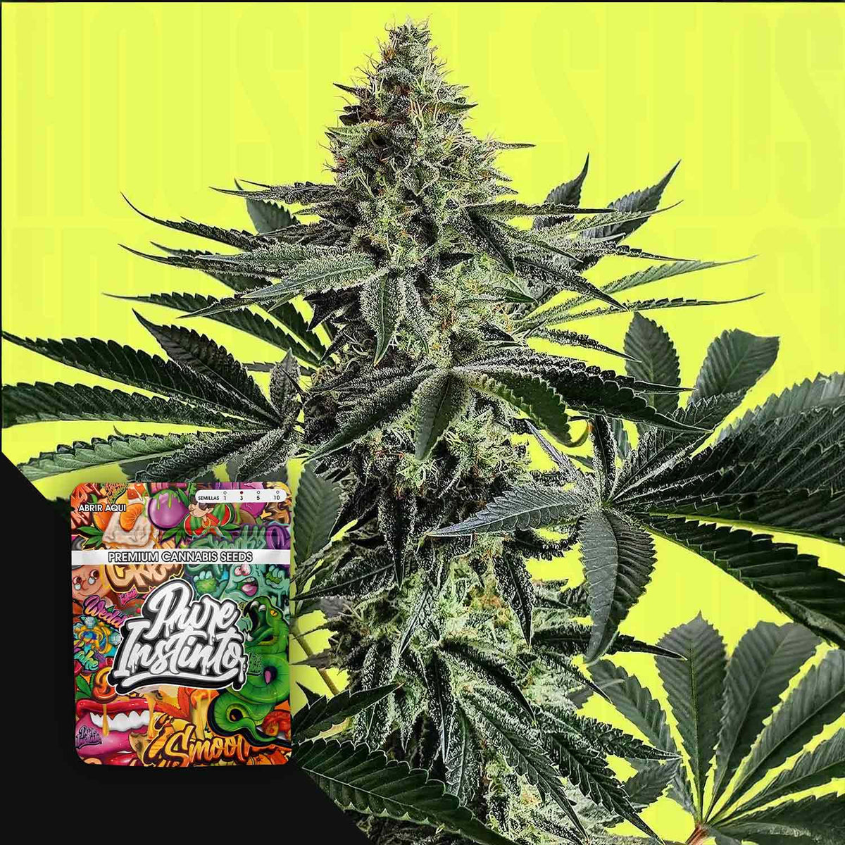 Pure Instinto - Lemon Storm