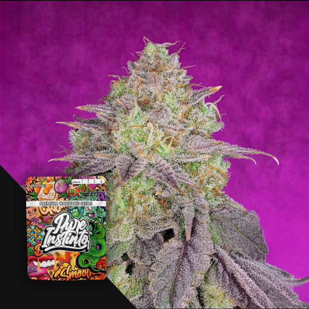 Pure Instinto - Shiskaberry
