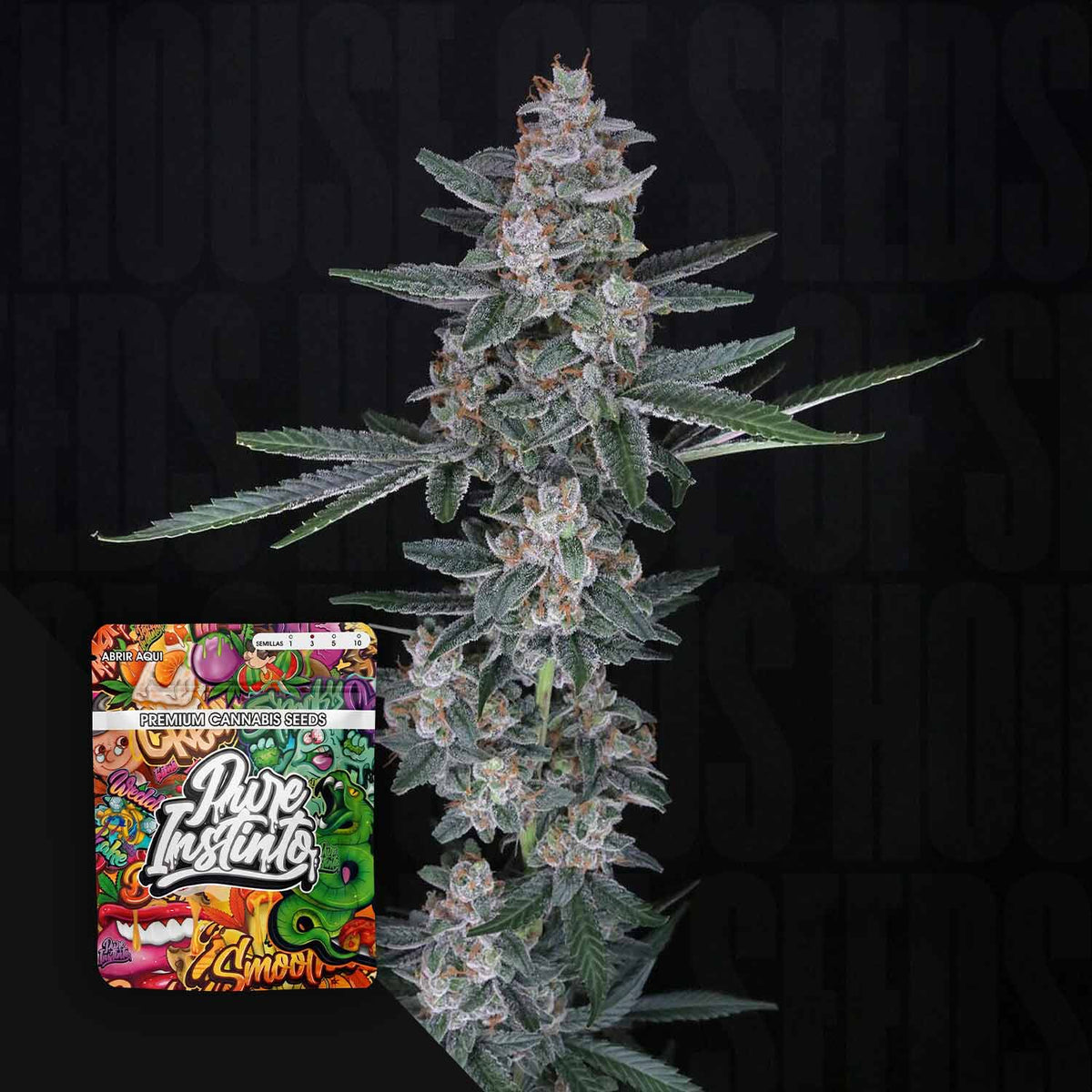 Pure Instinto - Tri-Whip Kush Auto