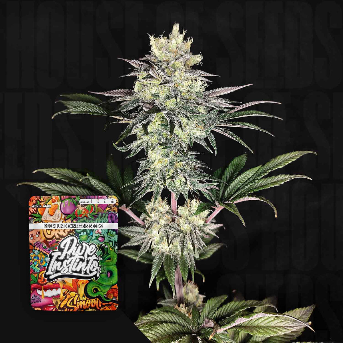 Pure Instinto - Yuzu Grape Kush