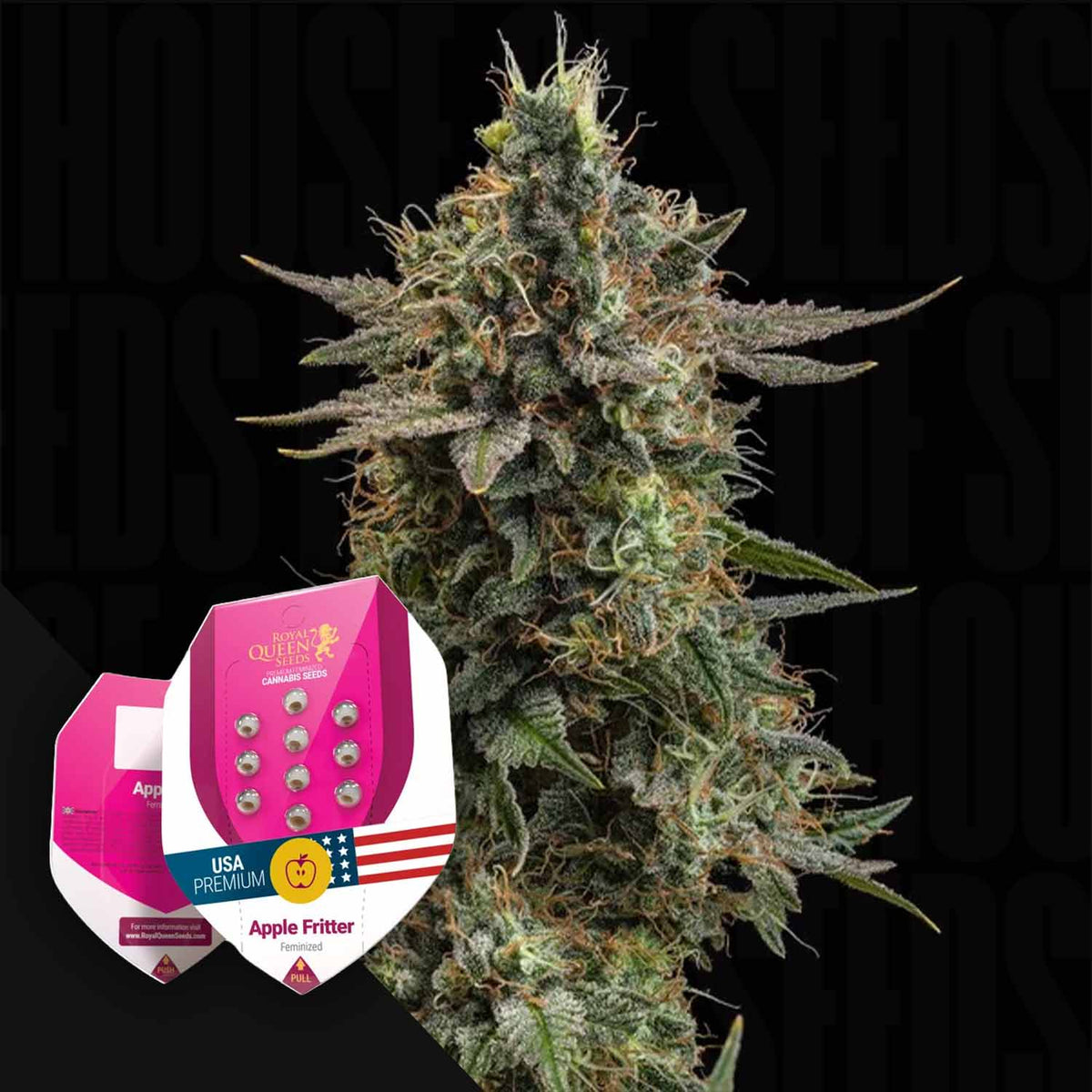 Royal Queen Seeds - Apple Fritter