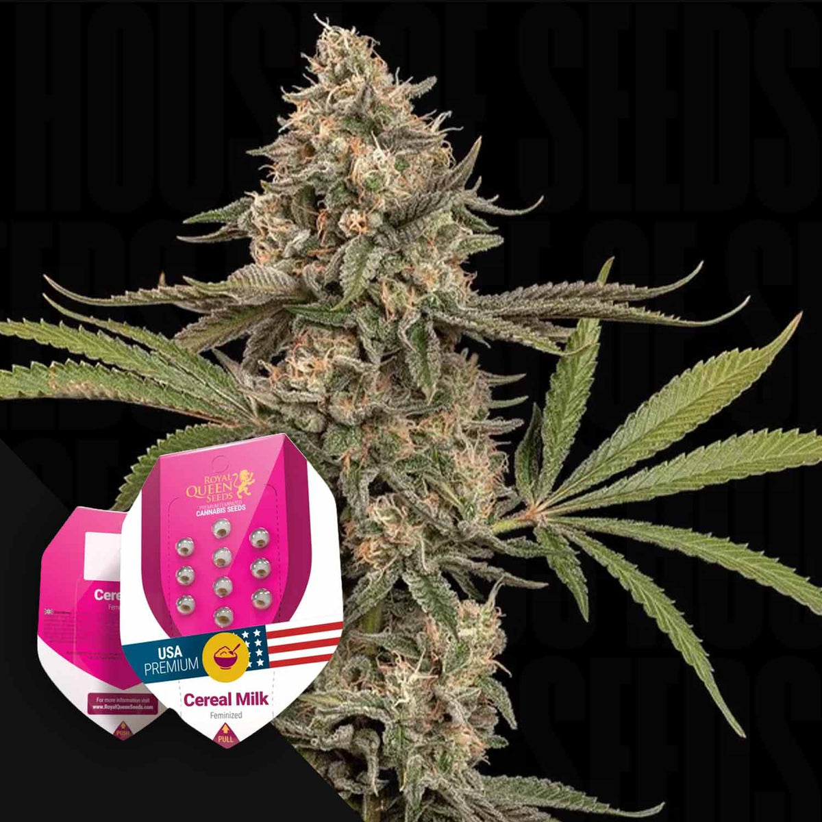 Royal Queen Seeds - Cereal Milk