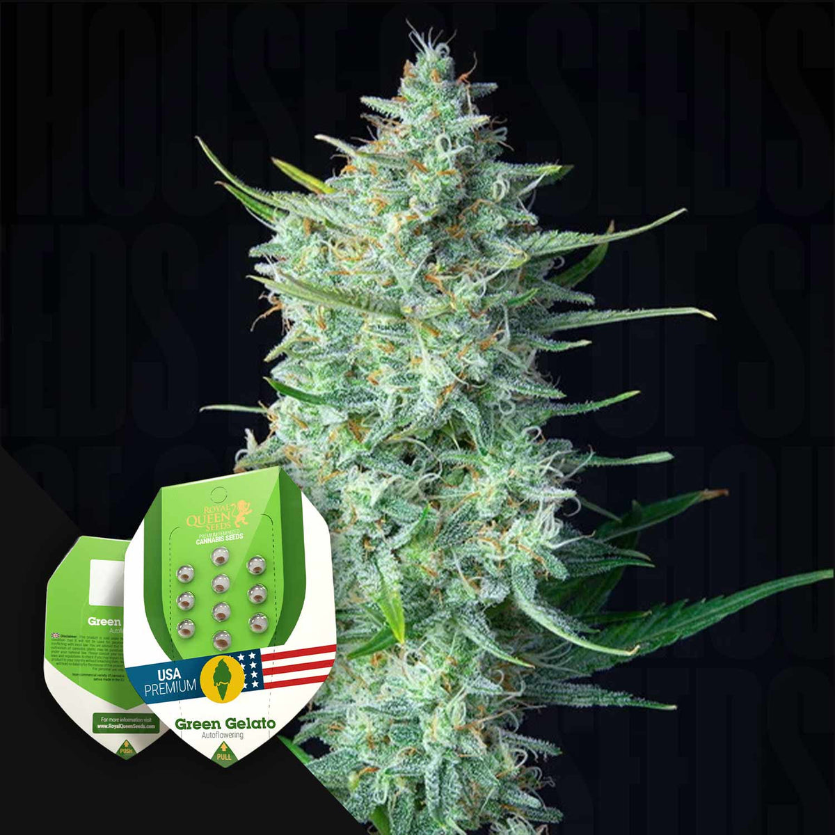 Royal Queen Seeds - Green Gelato Auto