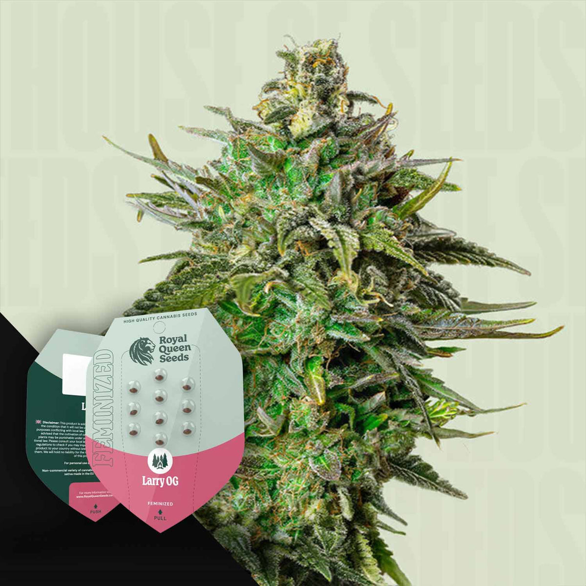 Royal Queen Seeds - Larry OG