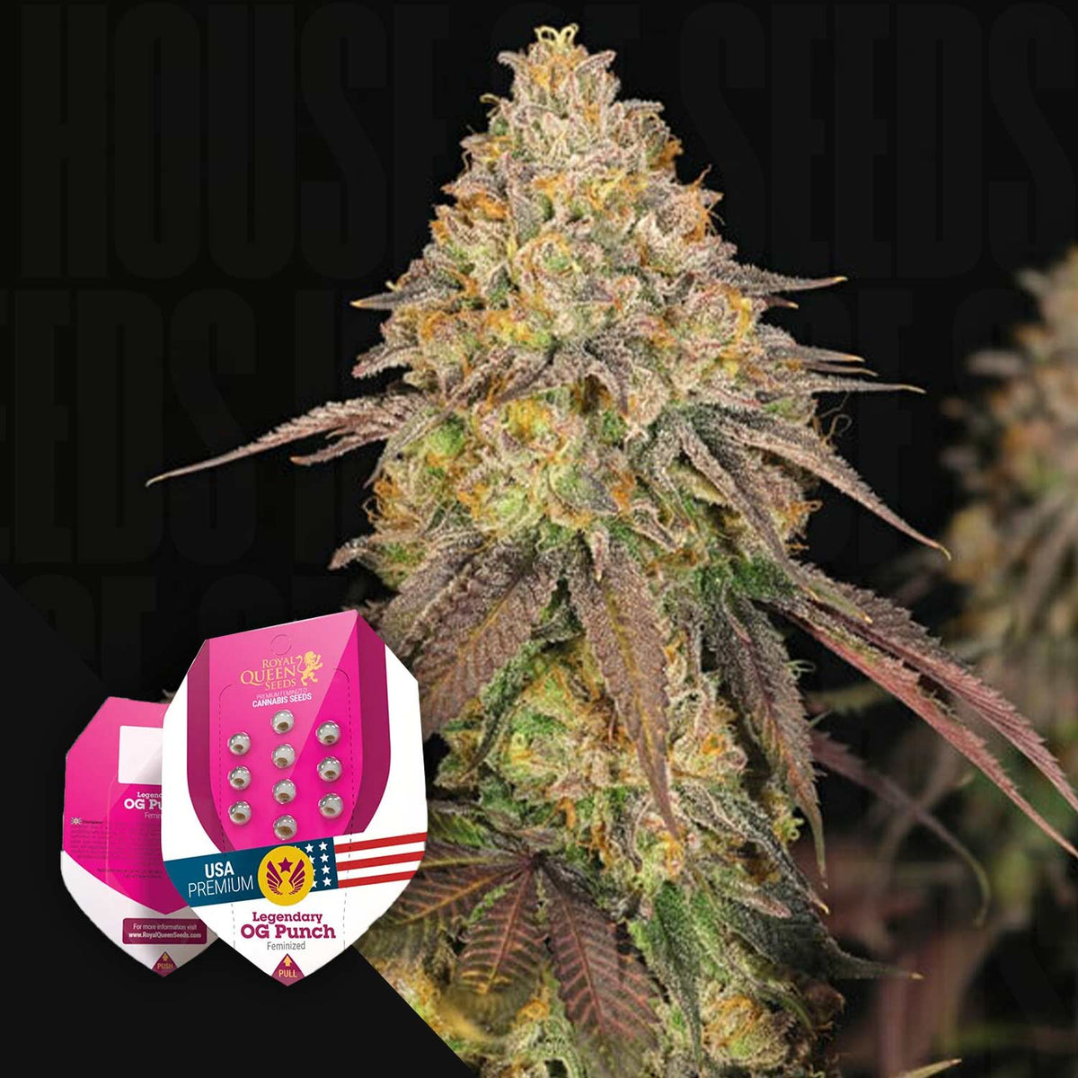 Royal Queen Seeds - Legendary OG Punch