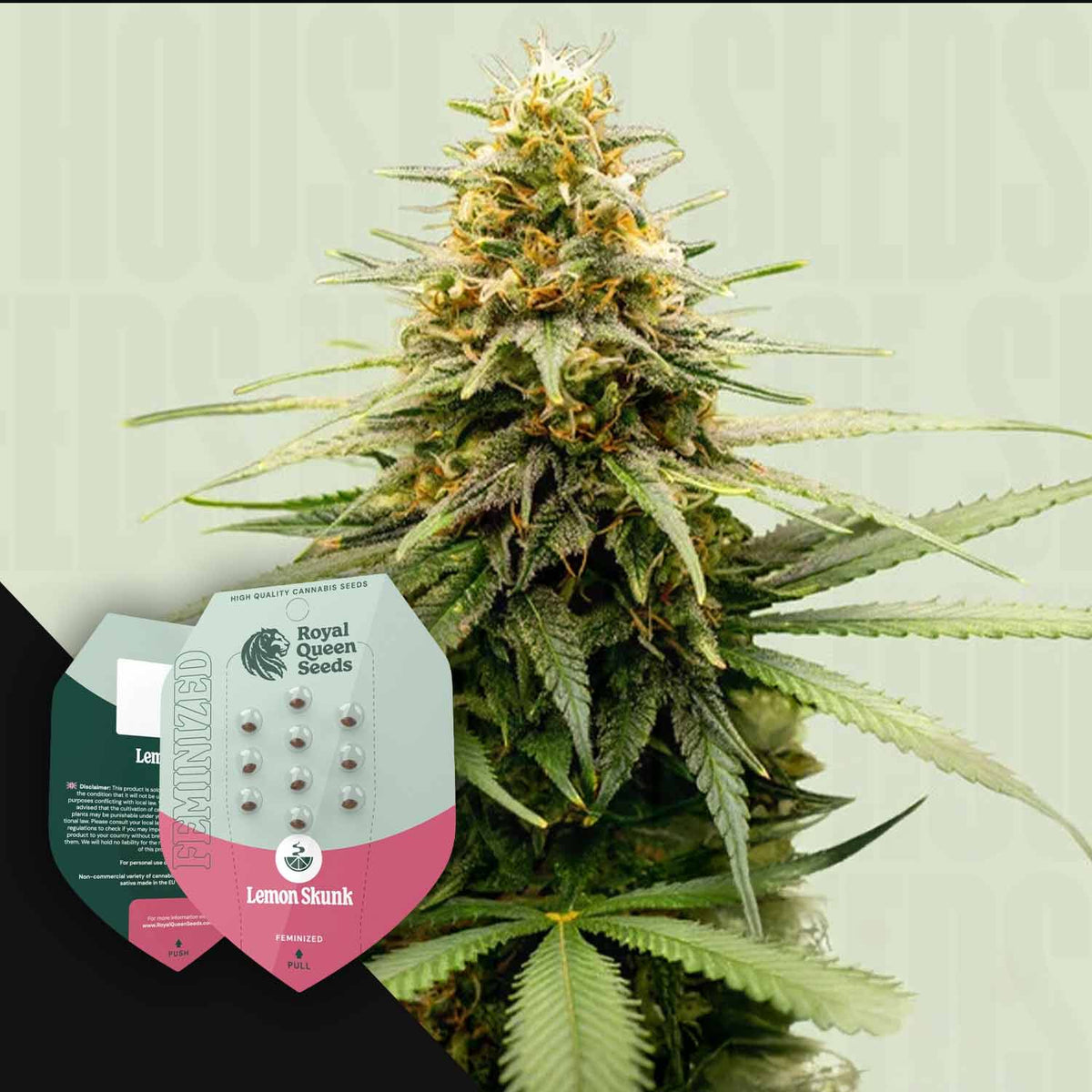 Royal Queen Seeds - Lemon Skunk