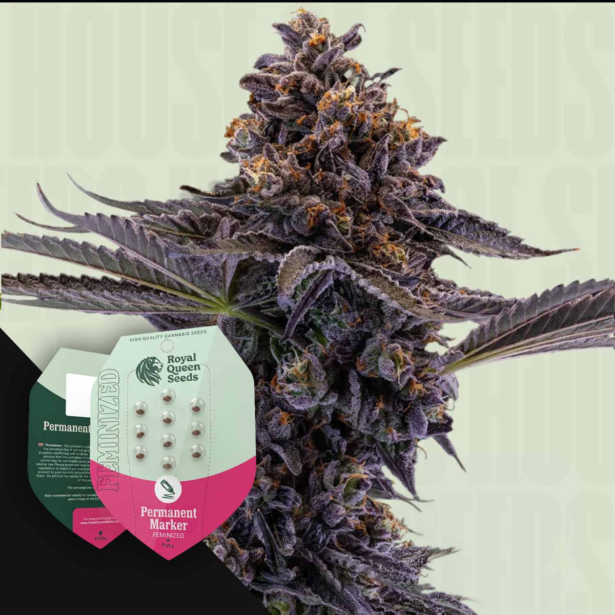 Royal Queen Seeds - Permanent Marker