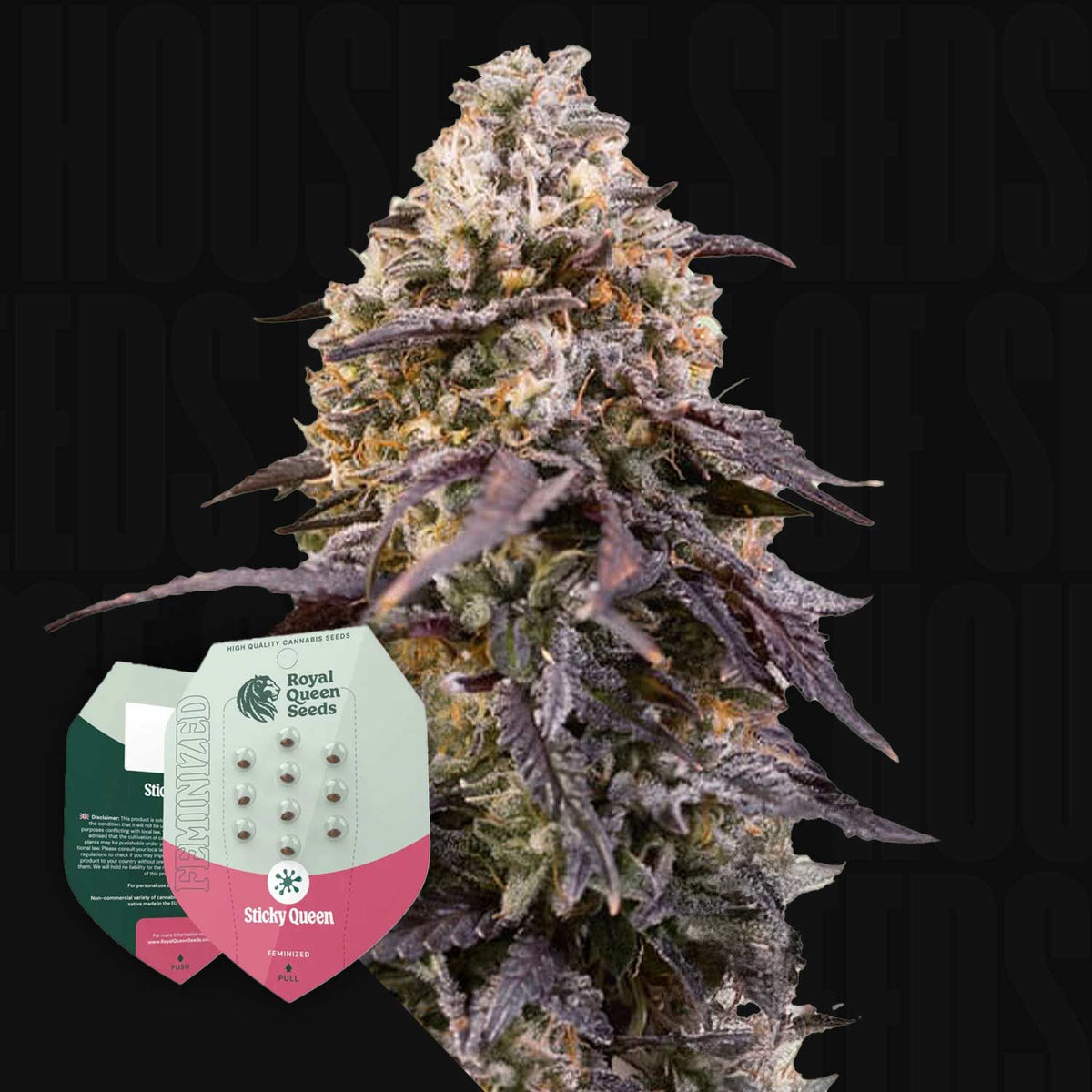 Royal Queen Seeds - Sticky Queen