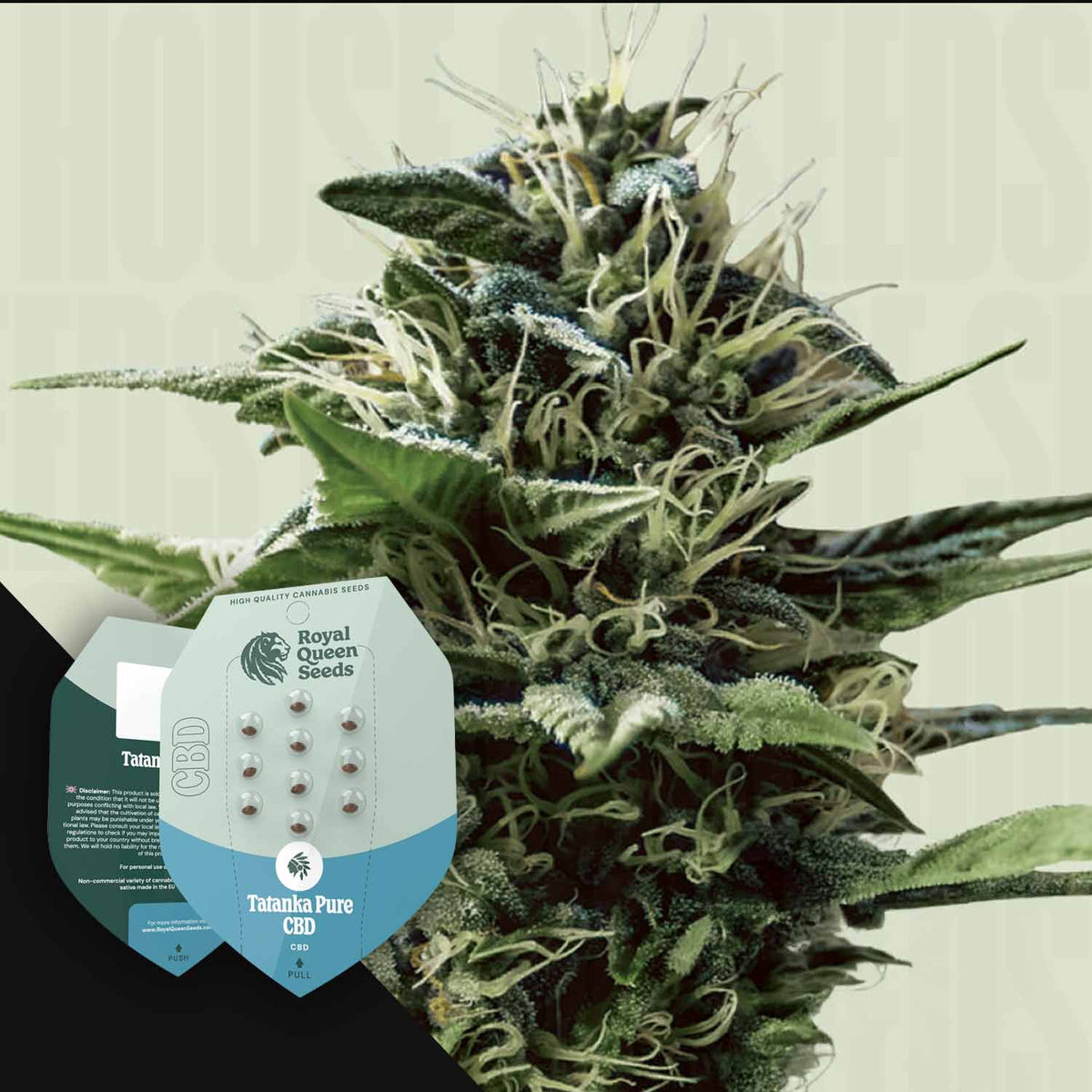 Royal Queen Seeds - Tatanka Pure CBD