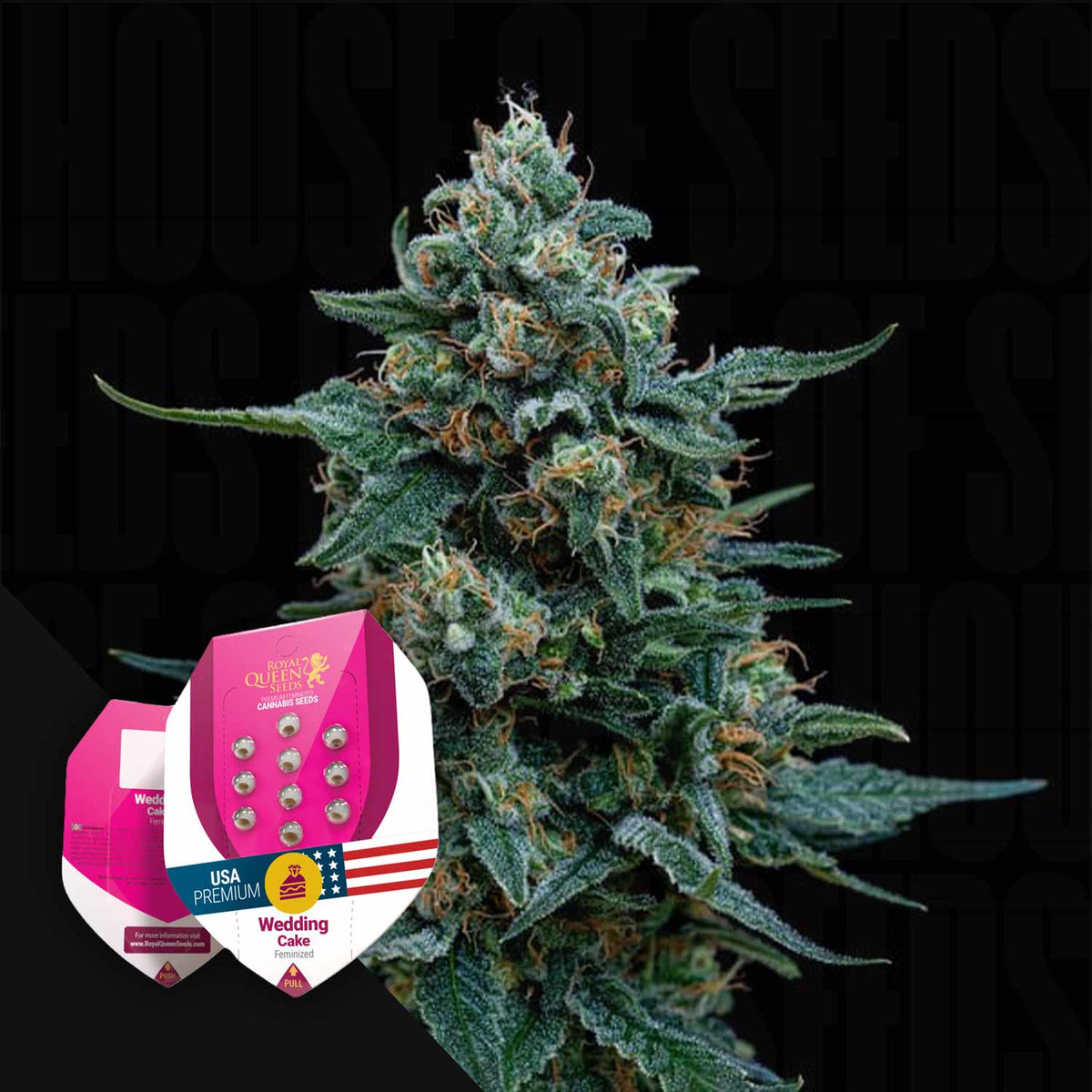 Royal Queen Seeds - Wedding Cake