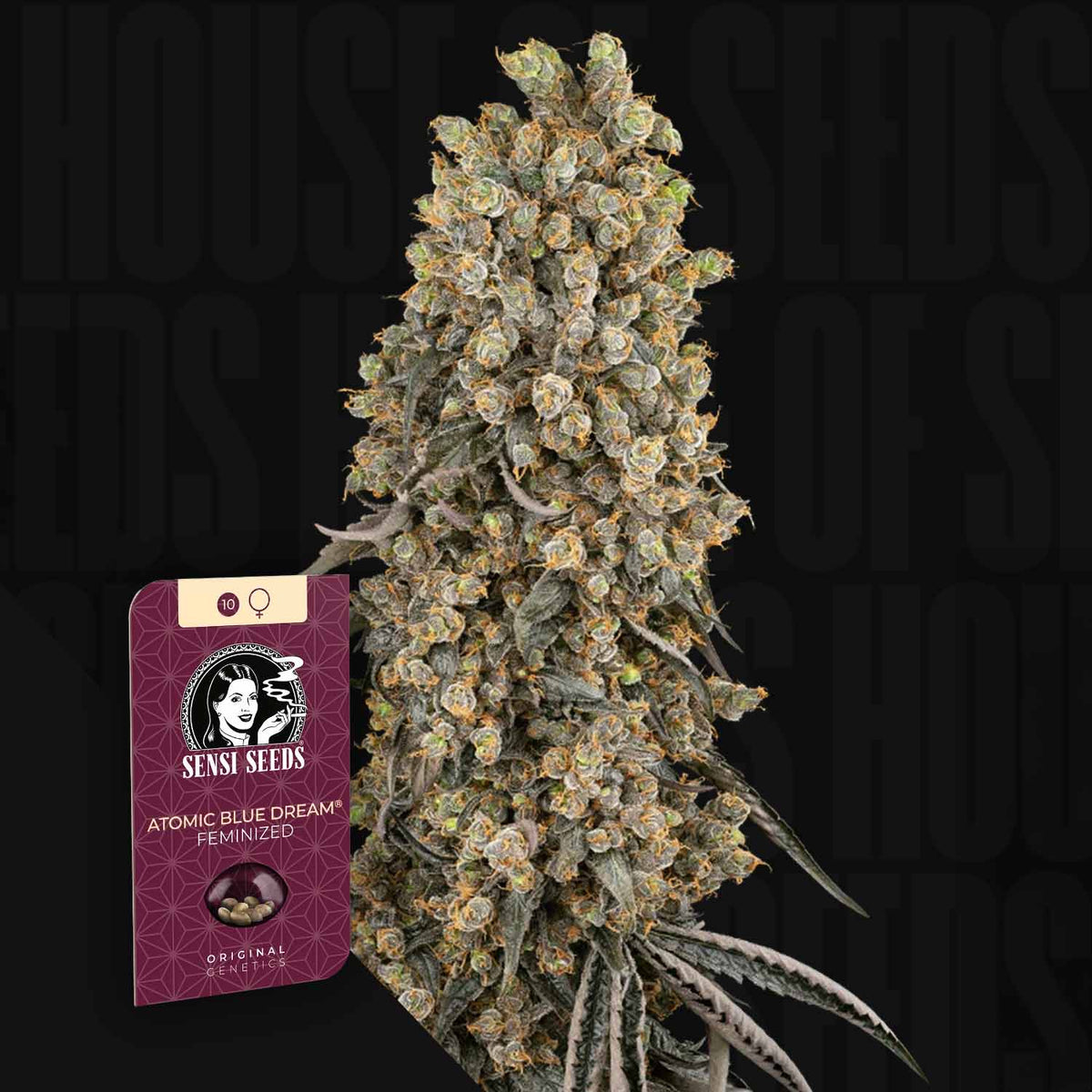 Sensi Seeds - Atomic Blue Dream
