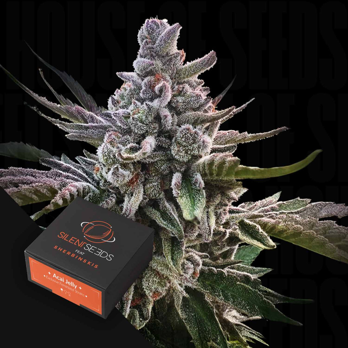 Silent Seeds - Acai Jelly
