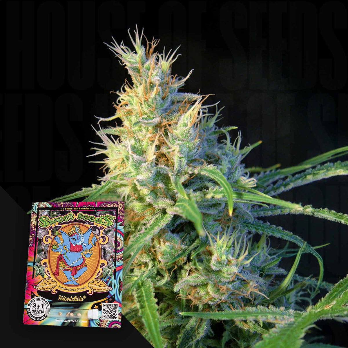 Sweet Seeds - Psicodelicia