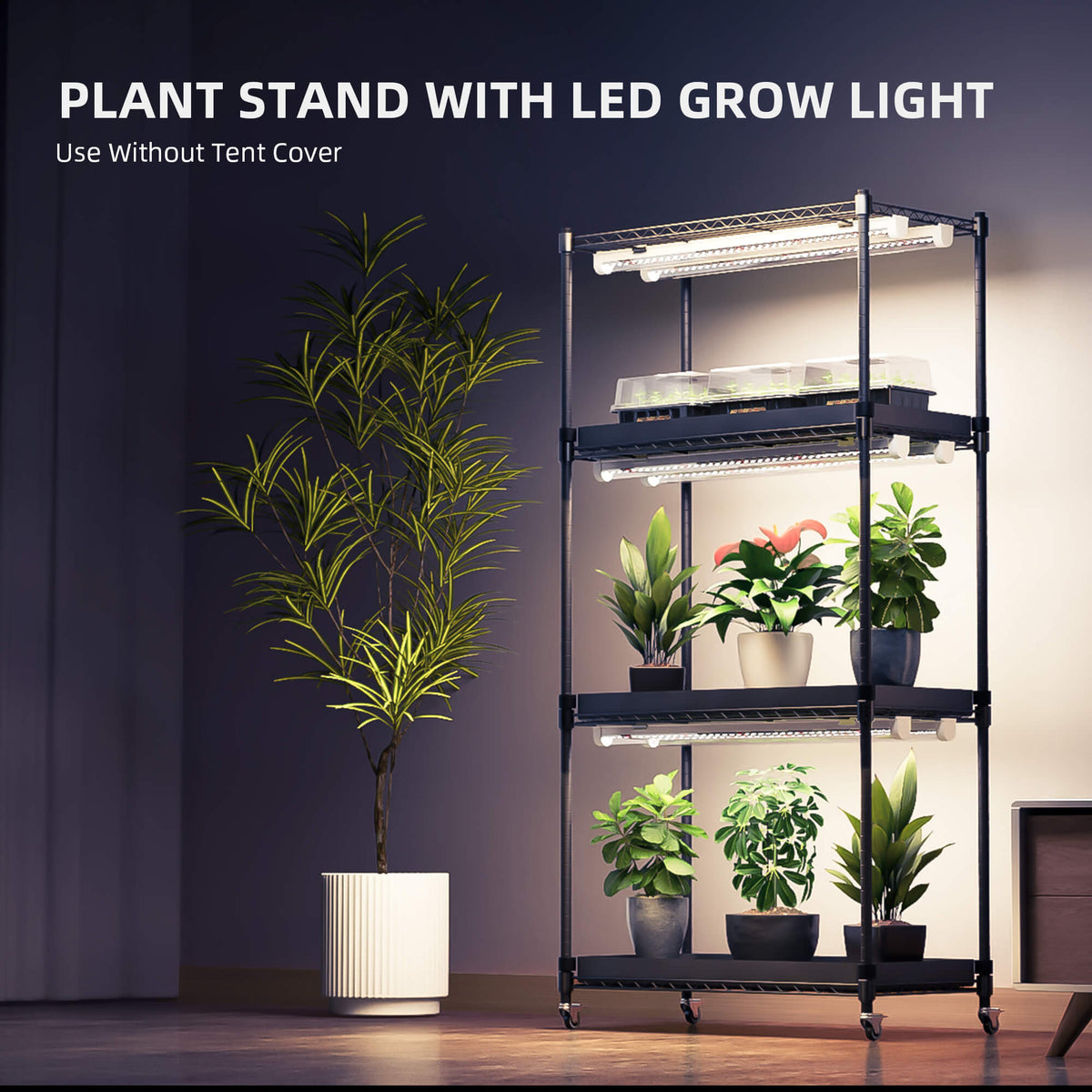 
                  
                    Spider Farmer 4 Tier Plant Stand With Grow Lights 108W , Plant Shelf with 1680D Grow Tent for Clone Seedling Indoor Plant and Greenhouse
                  
                