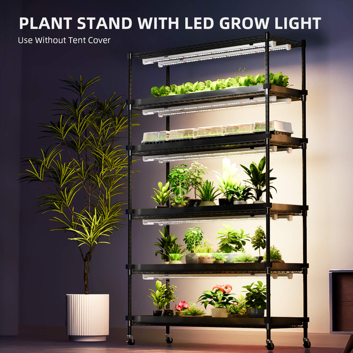 
                  
                    Spider Farmer 6 Tier Plant Stand With Grow Lights 220W , Plant Shelf with 1680D Grow Tent for Clone Seedling Indoor Plant and Greenhouse
                  
                