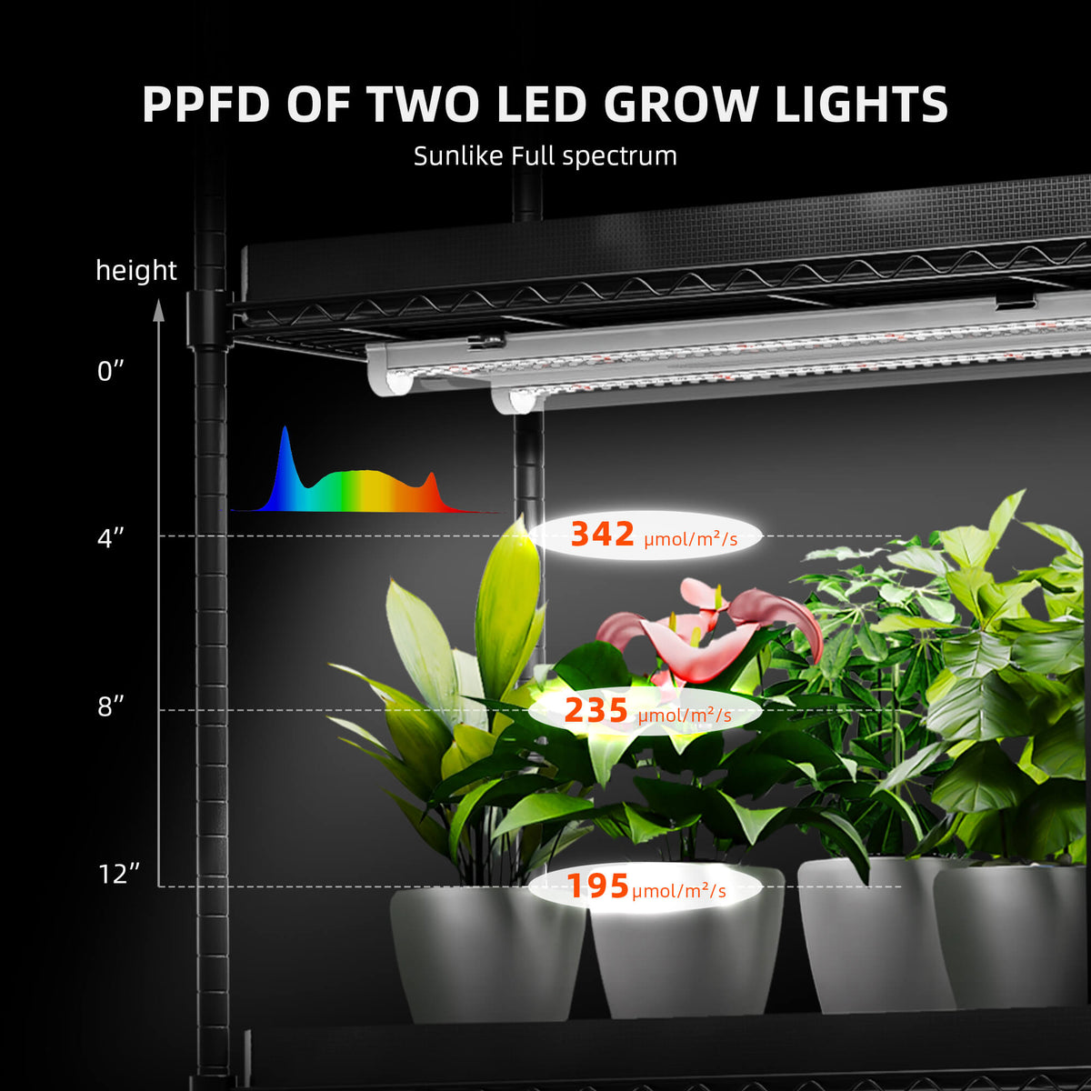 
                  
                    Spider Farmer 6 Tier Plant Stand With Grow Lights 220W , Plant Shelf with 1680D Grow Tent for Clone Seedling Indoor Plant and Greenhouse
                  
                