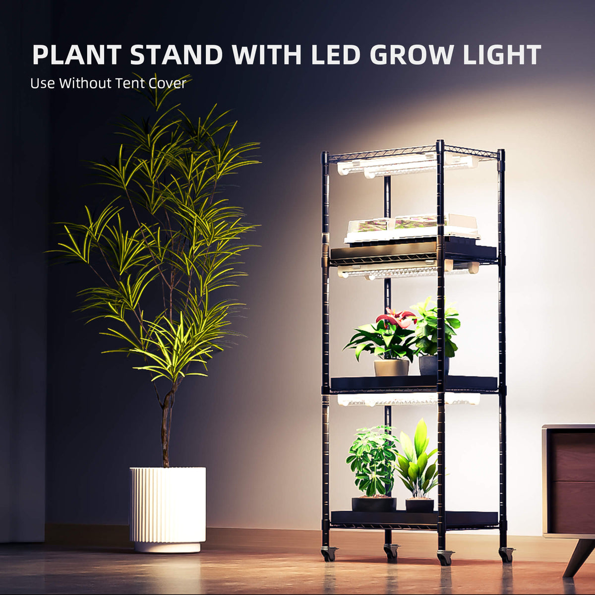 
                  
                    Spider Farmer 4 Tier Plant Stand With Grow Lights 54W , Plant Shelf with 1680D Grow Tent for Clone Seedling Indoor Plant, Greenhouse
                  
                