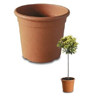 Topf Athena Rund Terracotta D:24cm 9L