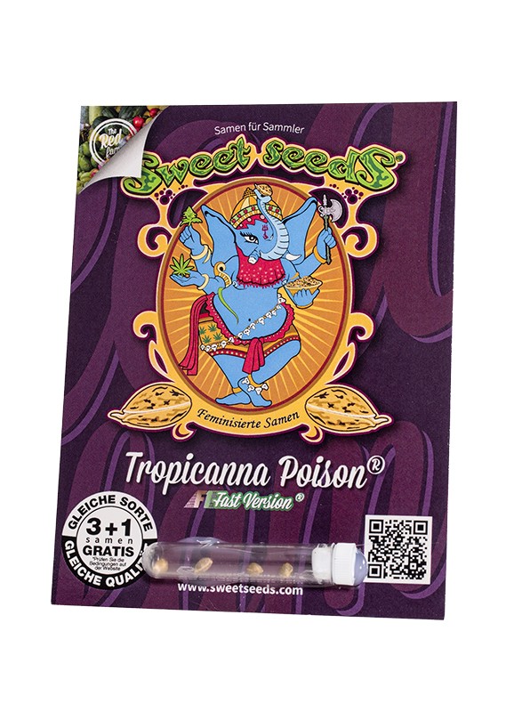 
                  
                    Sweetseeds - Tropicanna Poison F1 Fast Version®
                  
                