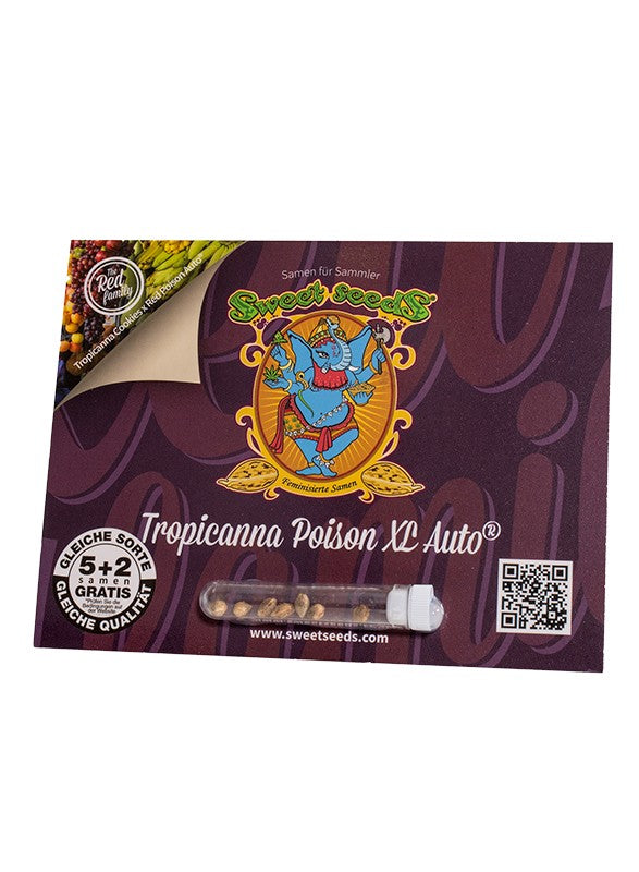
                  
                    Sweetseeds - Tropicanna Poison XL Auto®
                  
                