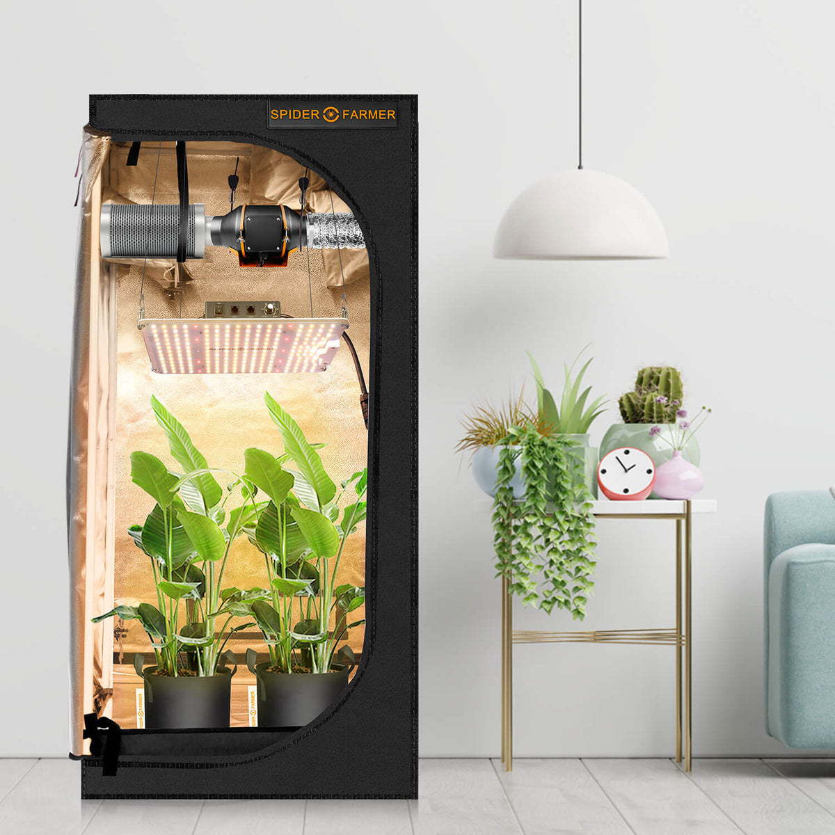 
                  
                    5-Pack 40L Fabric Grow Bags – Breathable & Reusable Plant Pots for Tomatoes & Herbs（ Pflanzsäcke mit Griffe aus Filzstoff Pflanze Grow Bag für Tomaten, Gemüse, 10 Gallonen）
                  
                
